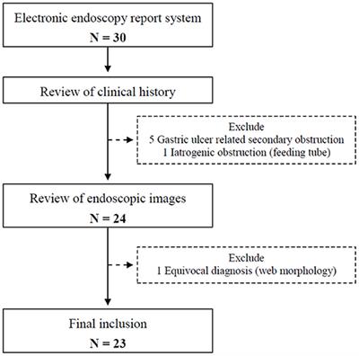 Clinical Presentations, Diagnosis, and Management for Pediatric Antral Web—A 20-Year Experience of a Referral Center